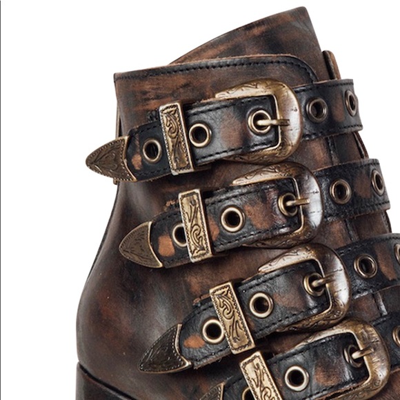 Jayden - Picture 6 of 6